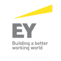 ernst-young-685d9